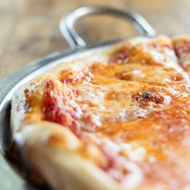 Delicious Cheese Pizza Options